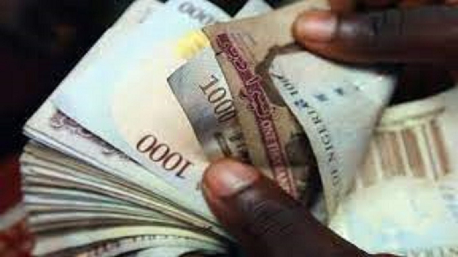 50 daily income business in Nigeria 2022